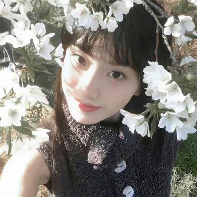 12号收尸队